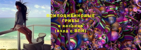 PSILOCYBIN Заволжск