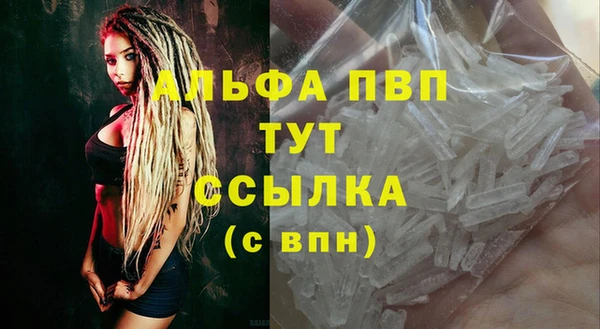 кокс Щигры