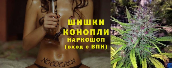 хмурый Заводоуковск