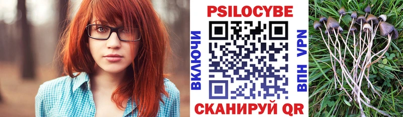 Галлюциногенные грибы Psilocybine cubensis Сасово