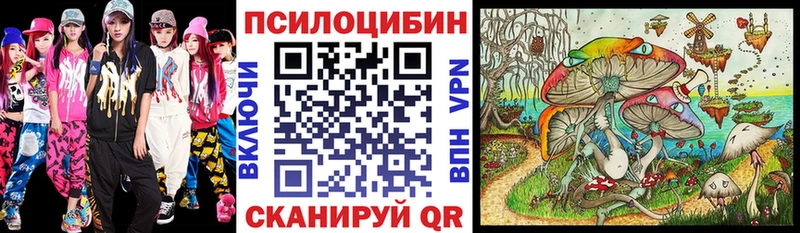 Псилоцибиновые грибы Psilocybe  Купить где  Сасово 
